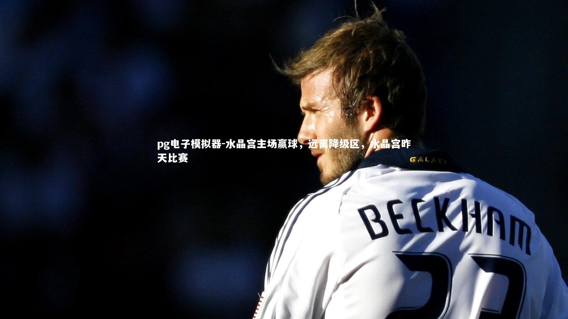 水晶宫主场赢球，远离降级区，水晶宫昨天比赛